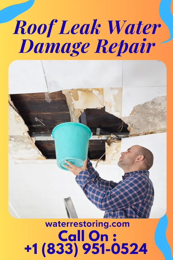 Roof Leak Water Damage Repair in Mount Auburn, IL