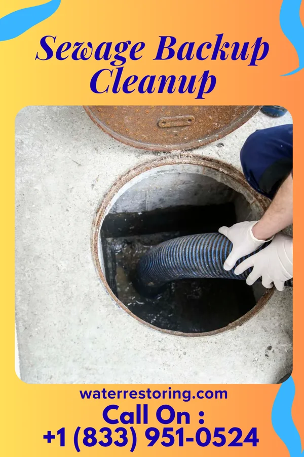 Sewage Backup Cleanup in Mount Auburn, IL