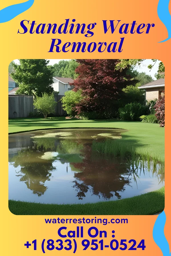 Standing Water Removal in Mount Auburn, IL